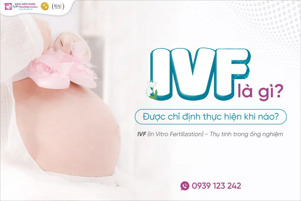 IVF là gì? Được chỉ định khi nào?