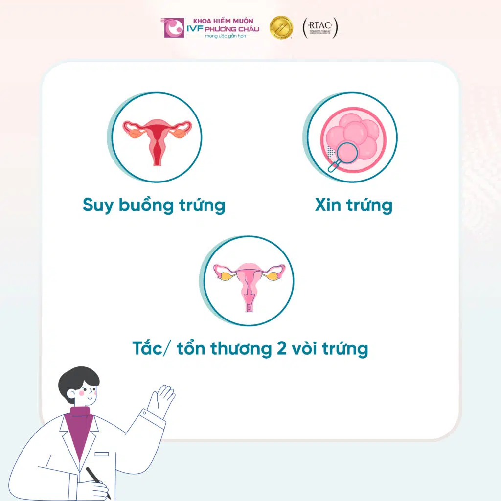 IVF là gì? Được chỉ định khi nào?