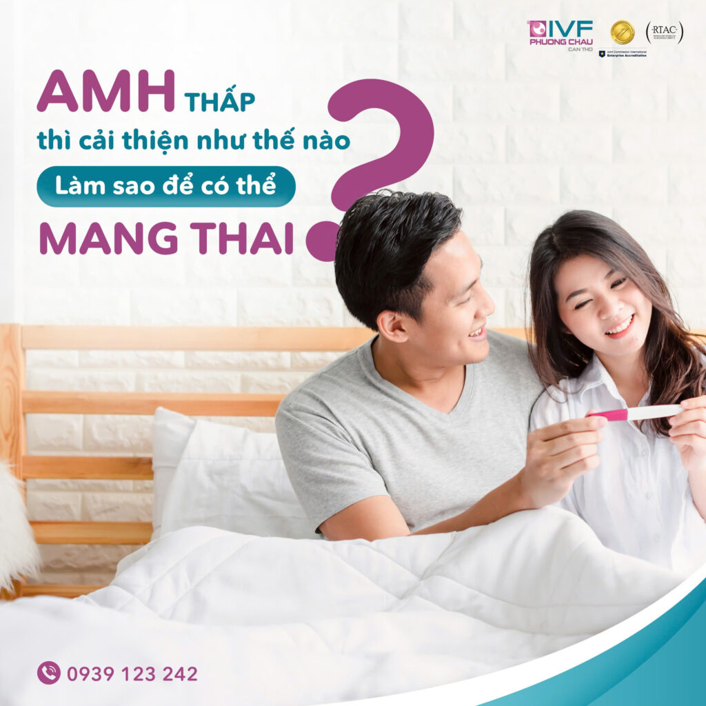AMH thấp thì cải thiện như thế nào? Làm sao để có thể mang thai?