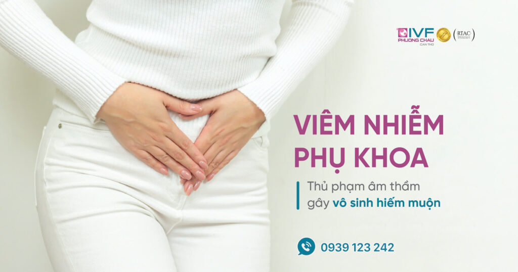 Vô sinh hiếm muộn bắt nguồn từ viêm nhiễm phụ khoa?