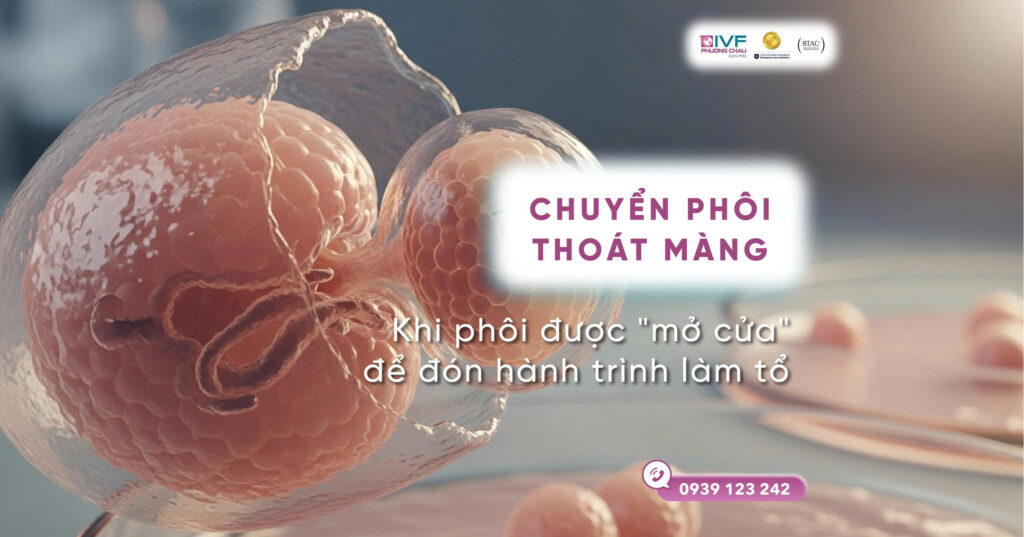 Hỗ trợ phôi thoát màng – Khi phôi được “mở cửa” để chuẩn bị hành trình làm tổ