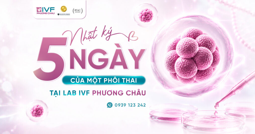 Nhật Ký 5 Ngày Của Một Phôi Thai Tại Lab IVF Phương Châu